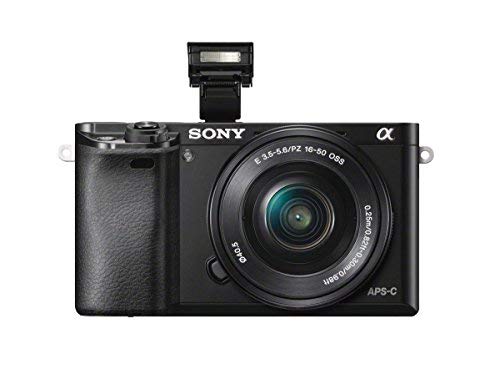 Sony Alpha a6000 Mirrorless Digital Camera