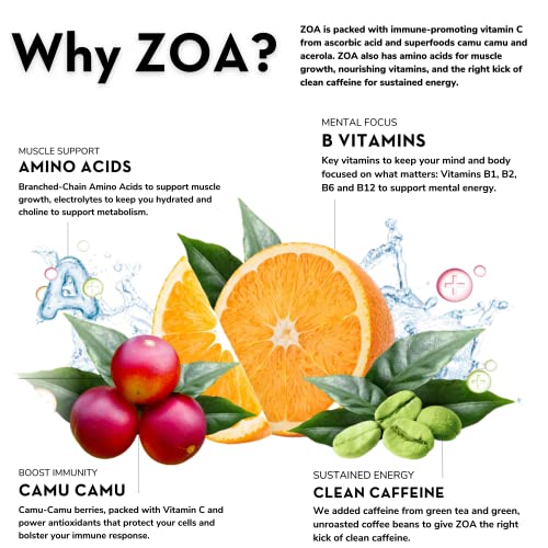 ZOA Sugar-Free Energy Drink, 12 Fl Oz | Tropical Punch (Pack of 12)